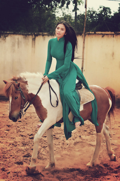 Trương Thị May vừa thực hiện trong năm 2014. Với ý nghĩa muốn thuần hóa chú ngựa hoang, Trương Thị May cầu mong mọi điều tốt lành, những thử thách khó khăn cô cũng sẽ vượt qua trong năm Giáp Ngọ này.